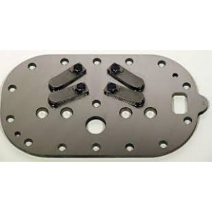 Valve Plate Kit, 30hp