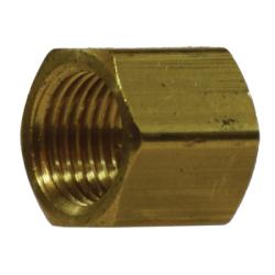 Cap, 1/2", NPTFE, Brass